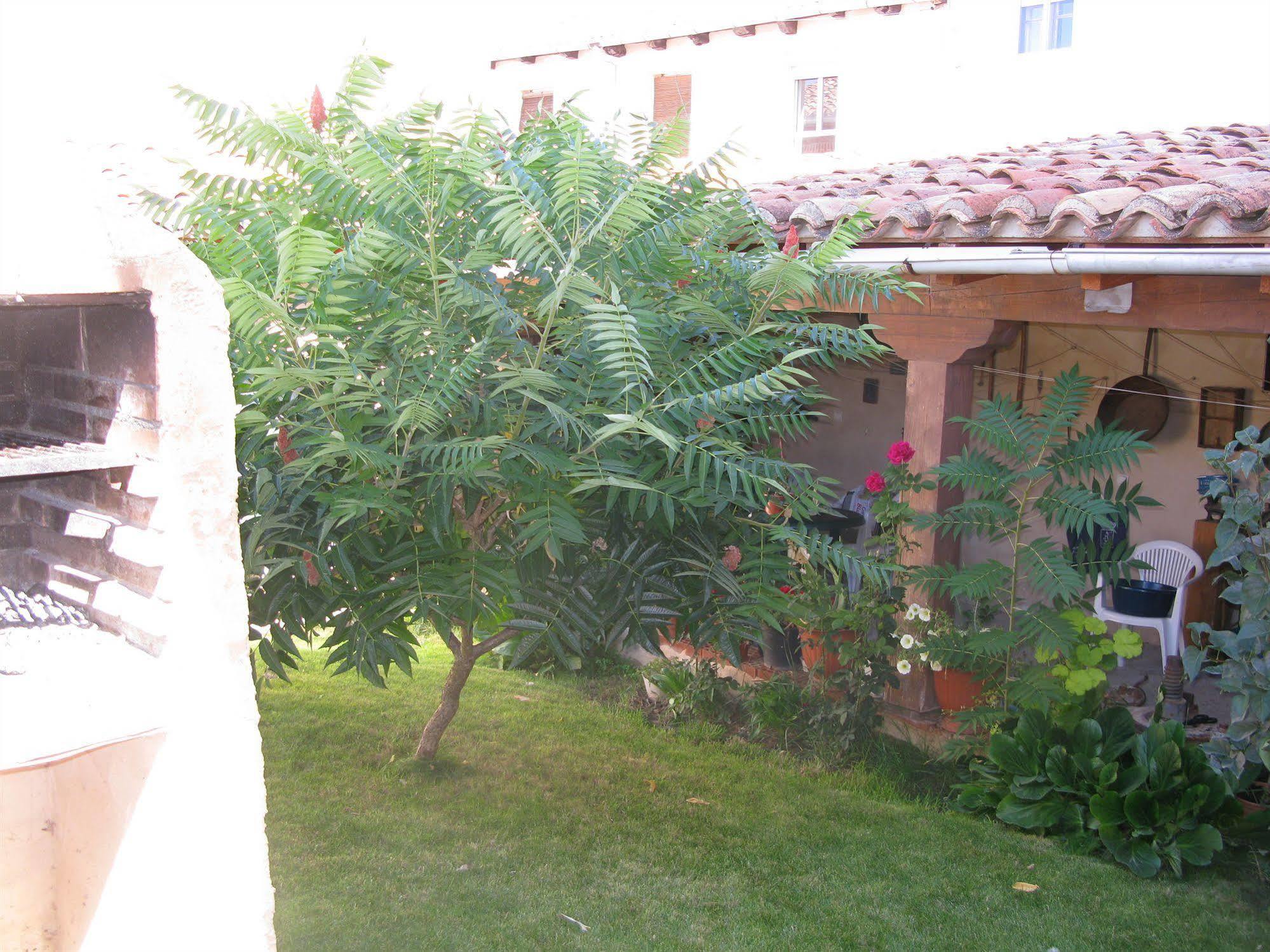 Casa Rural Arturo I Konuk evi Sahagún Dış mekan fotoğraf